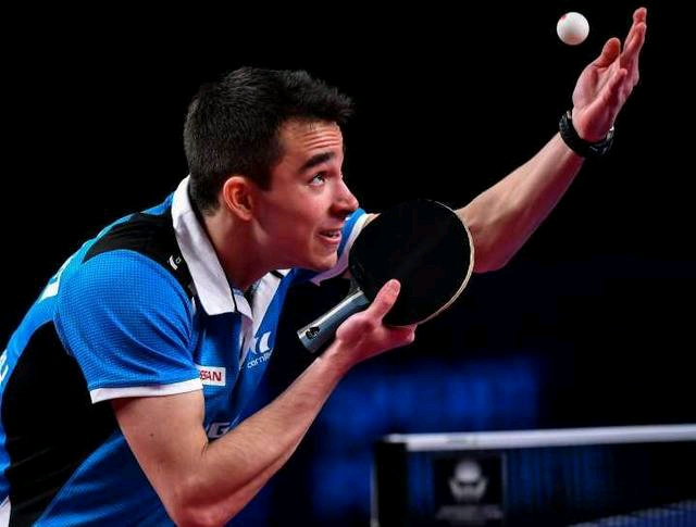 度假村不仅 度假村不仅